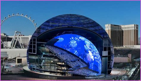 Unveiling Cecilia Vega's Wikipedia: Discoveries And Revelations